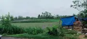 Tòa án Nhân dân TP.HCM sắp xử sơ thẩm vụ án giấy tờ đất đai suốt 3 năm không đăng bộ được