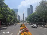 Thủ đô Mexico rực rỡ sắc vàng cam đón ngày hội bóng đá thế giới