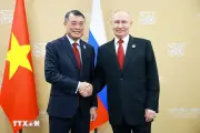 Thủ tướng Lê Minh Hưng hội kiến Tổng thống Nga Vladimir Putin