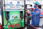 Thị trường xăng E10 tại Hà Nội ổn định trong ngày đầu triển khai