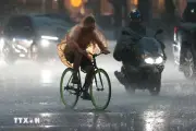 Thời tiết ngày 14/6: Cảnh báo mưa lớn trong 3 giờ tại Trung du Bắc Bộ