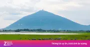 Thảo nguyên xanh ngút mắt dưới chân núi Bà Đen khi hồ Dầu Tiếng cạn