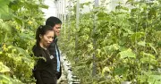 Thu hẹp khoảng cách số, giảm nghèo thông tin cho nông dân