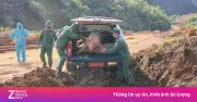 Tiêu hủy gần 600 kg lợn nhập lậu tại Cao Bằng