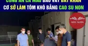 Tôm khô làm từ cao su non là thông tin sai sự thật, Cà Mau yêu cầu xử lý