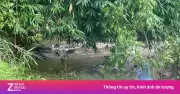 Tìm thấy thi thể bé trai 22 tháng tuổi mất tích trong rừng ở Cao Bằng