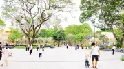 TP.HCM tháo gỡ 100% dự án tồn đọng, khơi thông hơn 206.000 tỷ đồng