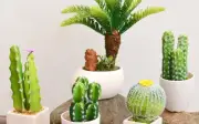 Trồng cây trước cửa phòng thờ: Rước xui hay đón tài lộc?