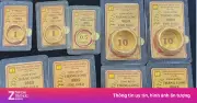 Truy tố đối tượng môi giới vàng Vàng Rồng Thăng Long chiếm đoạt gần 22 tỷ