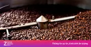 Tất tần tật về cà phê: Hành trình khám phá hương vị từ rang đến pha