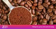 Tất tần tật về cà phê: Hành trình khám phá hương vị và bí quyết pha chế