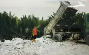 Tây Ninh khởi tố đối tượng đổ trái phép gần 600 tấn chất thải xây dựng