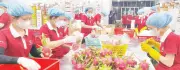 Tây Ninh nỗ lực cải thiện môi trường đầu tư kinh doanh để thúc đẩy tăng trưởng
