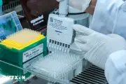 Tây Ninh xây dựng cơ sở dữ liệu ADN thân nhân để truy tìm hài cốt liệt sĩ