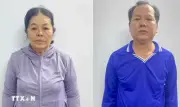 Vụ cướp giật tại khu du lịch Tân Huề Viên: hai đối tượng ra đầu thú