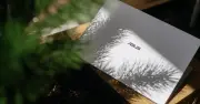 Vì sao laptop ExpertBook Ultra có giá 100 triệu? Bí mật đằng sau mức giá đắt đỏ