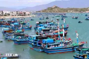 Vi phạm thủy sản có thể bị phạt tới 2 tỷ đồng từ ngày 18/8