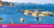 Video: Địa điểm chụp ảnh view biển hot nhất Hạ Long