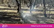 Video: Khống chế đám cháy rừng ở Quảng Ngãi