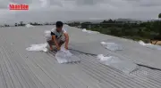 Video: Nhiều cơn bão có thể ảnh hưởng đến đất liền Việt Nam tháng 7-12