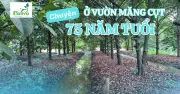Vườn măng cụt 75 tuổi ở An Giang: 'Gia tài của tía' và du lịch thuận tự nhiên