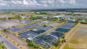 Vĩnh Long đẩy mạnh đầu tư hạ tầng, hướng tới tăng trưởng kinh tế biển bền vững