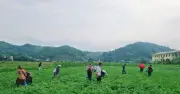 Xã Bản Bo xây dựng bản làng số giúp giảm nghèo thông tin bền vững