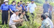 Xã Tu Mơ Rông trồng 1 triệu cây cà phê từ 'đại hội không hoa'