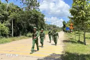 Xanh mãi ký ức và niềm tự hào dân tộc