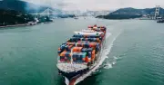 Xuất khẩu chè Việt Nam tăng mạnh tại Mỹ và Nga dù tổng lượng giảm