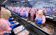 Xuất khẩu nông lâm thủy sản 5 tháng tăng trên 9%