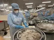 Xuất khẩu thủy sản duy trì tăng trưởng nhưng áp lực ngày càng lớn