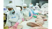 Xuất khẩu Việt Nam tăng 21,1% nhưng đối mặt nhiều thách thức cuối năm
