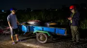 Xây là chắn bảo vệ động vật hoang dã trước nạn săn bắt trái phép