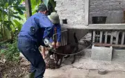 Đẩy mạnh tiêm phòng vật nuôi ngăn nguy cơ bệnh dại lây sang người