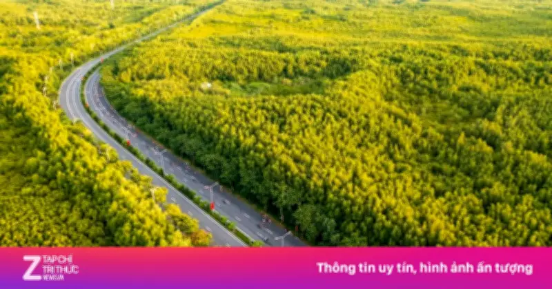 3 cực tăng trưởng mới cho TP.HCM từ 29 xã lên phường