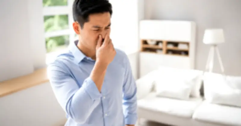 6 vị trí 'hiểm' trong nhà là ổ nấm mốc, gây mùi hôi nhiều người bỏ qua