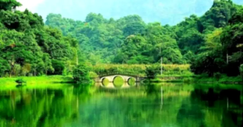 Bộ NNMT muốn tiếp tục quản lý 4 vườn quốc gia Cúc Phương, Tam Đảo, Bạch Mã, Yok Đôn
