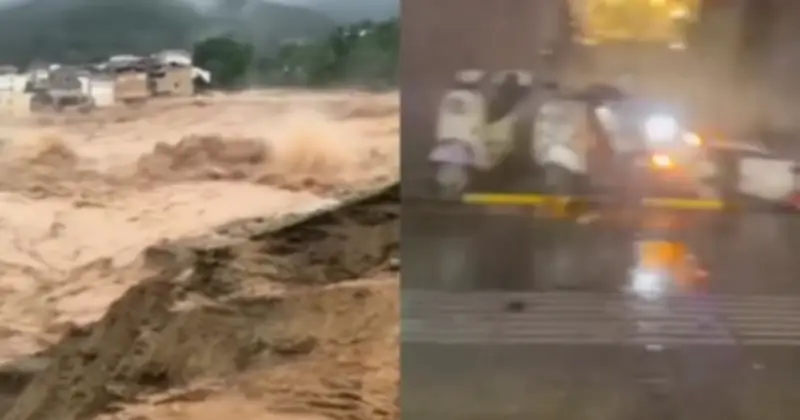 Bão Maysak tàn phá Trung Quốc: 2 người chết, gần 50.000 người sơ tán