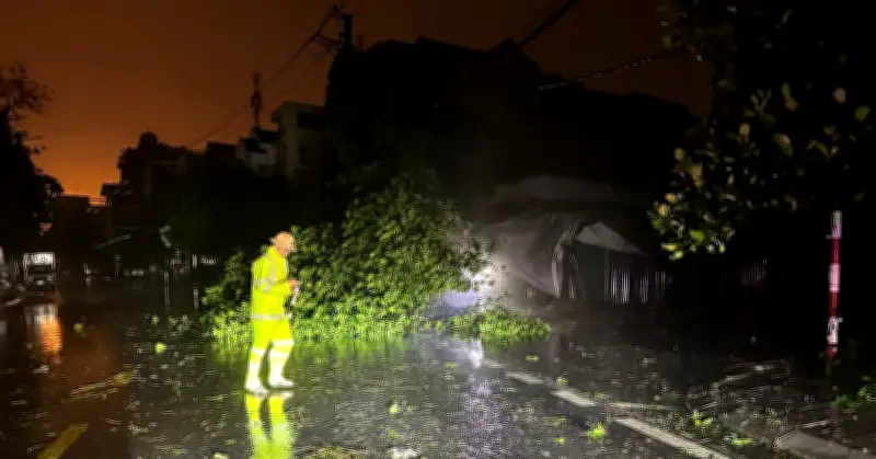 Bão số 1 Maysak đổ bộ Móng Cái, gió rít liên hồi, mưa trắng trời