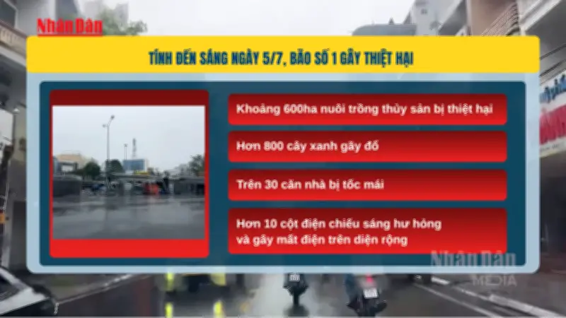 Bão số 1 tàn phá Móng Cái: Hàng chục nhà tốc mái, trăm cây xanh gãy đổ