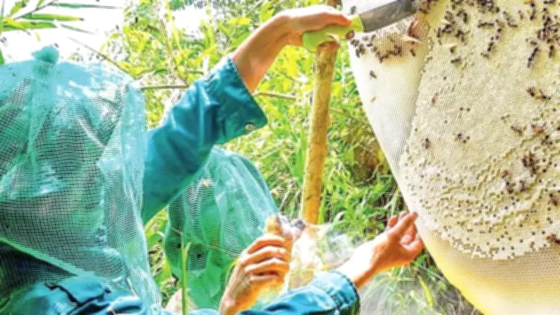Cà Mau phê duyệt quy hoạch khu du lịch sinh thái hơn 1.300 ha tại U Minh Hạ