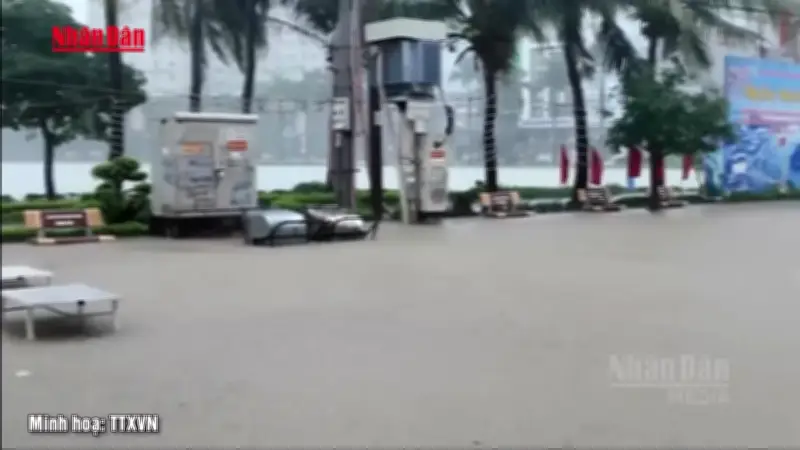 Cục Đường bộ Việt Nam hỏa tốc chỉ đạo ứng phó bão số 1 và mưa lũ