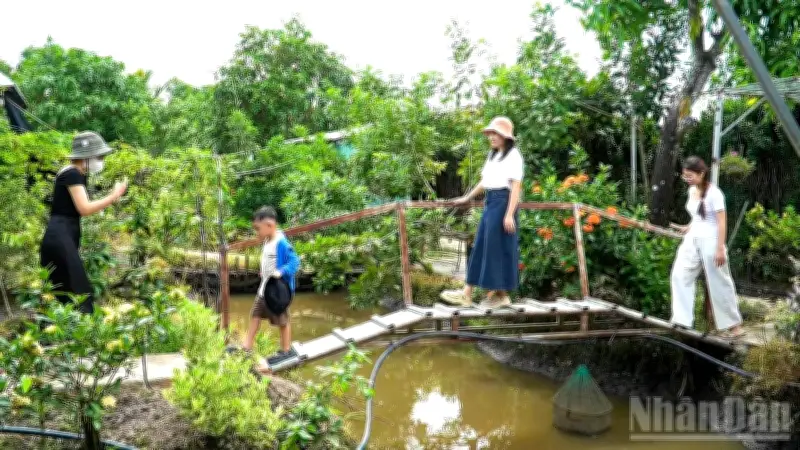 Cần Thơ: Du lịch sinh thái hút khách dịp hè với nhiều hoạt động mới