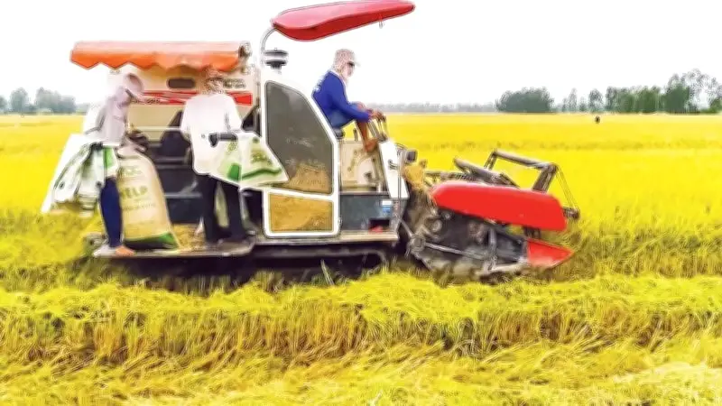Cần Thơ: Tín dụng 6 tháng đầu năm 2026 tăng trưởng mạnh, vốn công nghệ cao gấp 18 lần