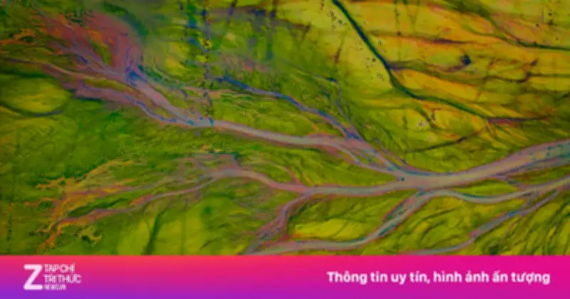 Cảnh 'mạch máu' đáy hồ Trị An mùa nước cạn giữa tháng 6