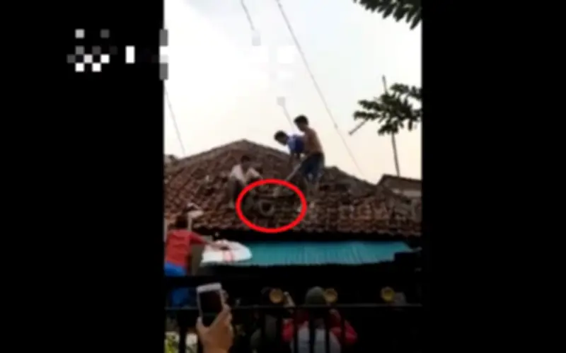 Con trăn dài 4 mét bò lên mái nhà ở Bogor, Indonesia