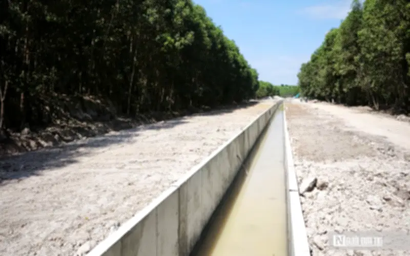Dự án kênh Sông Dinh 3 - Núi Đất đạt 80% khối lượng, phấn đấu hoàn thành năm 2026