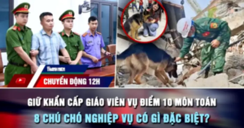 Giữ khẩn cấp giáo viên vụ điểm 10 môn Toán; xử lý 27 vụ tung tin xuyên tạc