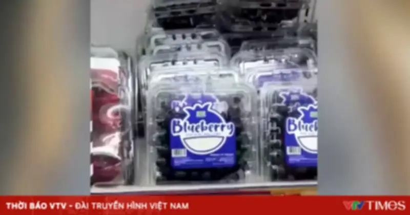 Hà Nội triệt phá đường dây nhập lậu gần 19 tấn việt quất, dùng vùng trồng Sơn La hợp thức hóa